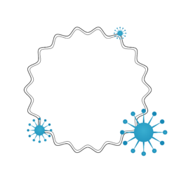 viral infection kinetics